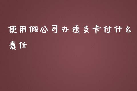 使用假公司办透支卡付什么责任_https://m.jnkyh.com_股票交易_第1张