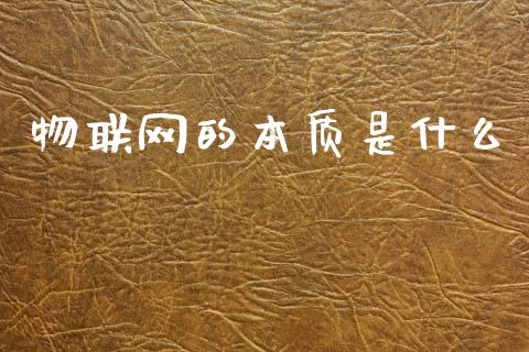物联网的本质是什么_https://m.jnkyh.com_期货开户条件_第1张