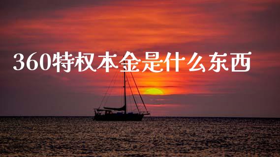 360特权本金是什么东西_https://m.jnkyh.com_股票交易_第1张