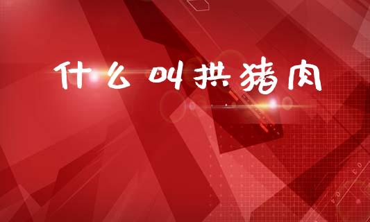 什么叫拱猪肉_https://m.jnkyh.com_股指期货_第1张