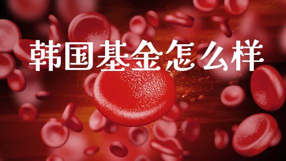 韩国基金怎么样_https://m.jnkyh.com_期货开户条件_第1张