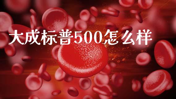 大成标普500怎么样_https://m.jnkyh.com_国际原油_第1张