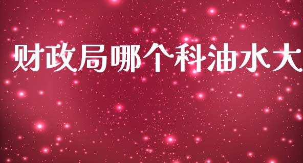财政局哪个科油水大_https://m.jnkyh.com_期货开户条件_第1张
