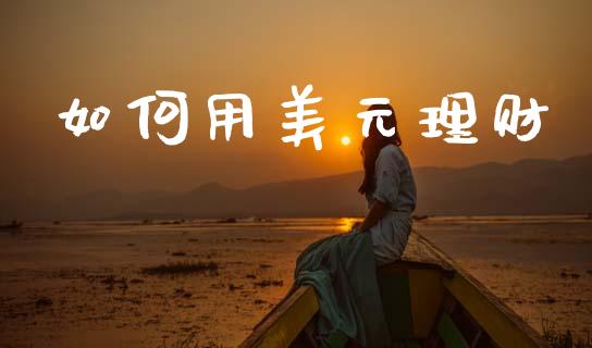如何用美元理财_https://m.jnkyh.com_期货开户条件_第1张