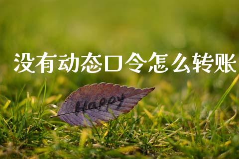 没有动态口令怎么转账_https://m.jnkyh.com_股指期货_第1张