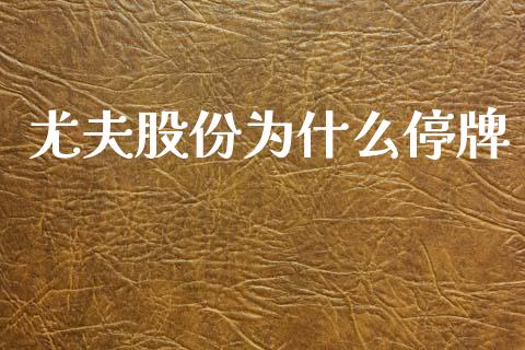 尤夫股份为什么停牌_https://m.jnkyh.com_国际原油_第1张