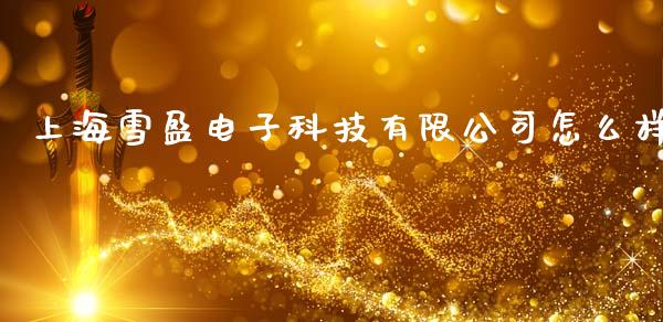 上海雪盈电子科技有限公司怎么样_https://m.jnkyh.com_股票交易_第1张
