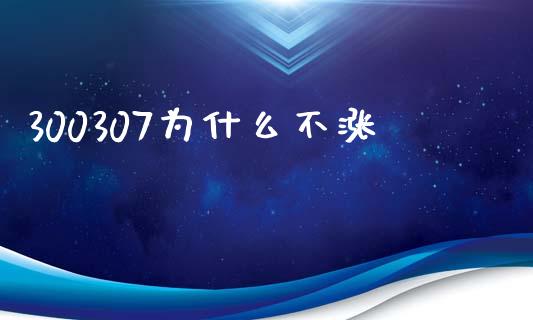 300307为什么不涨_https://m.jnkyh.com_股票交易_第1张