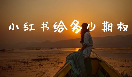 小红书给多少期权_https://m.jnkyh.com_期货开户条件_第1张