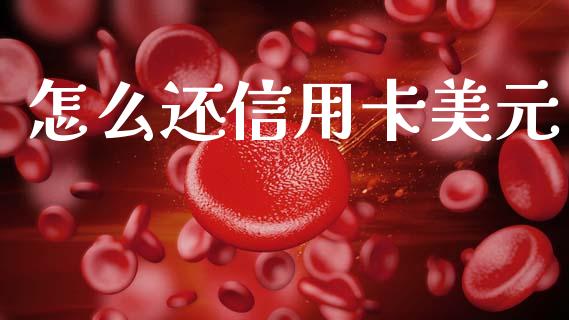 怎么还信用卡美元_https://m.jnkyh.com_国际原油_第1张