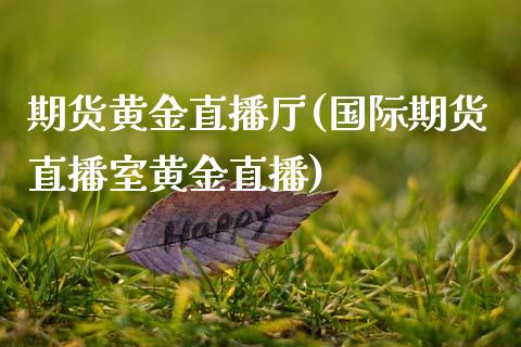 期货黄金直播厅(国际期货直播室黄金直播)_https://m.jnkyh.com_国际原油_第1张