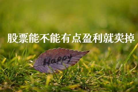 股票能不能有点盈利就卖掉_https://m.jnkyh.com_股票交易_第1张