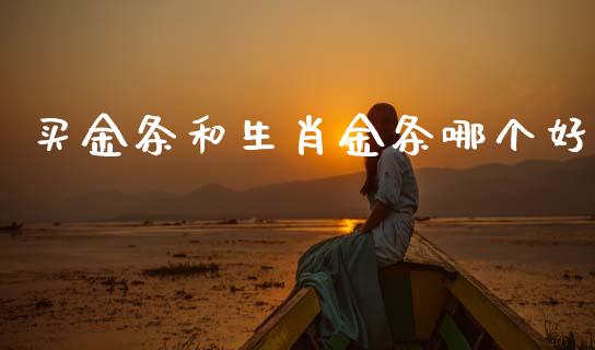 买金条和生肖金条哪个好_https://m.jnkyh.com_国际原油_第1张