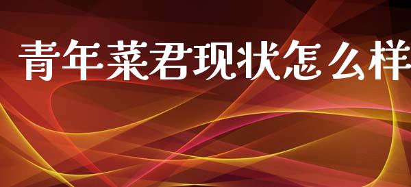 青年菜君现状怎么样_https://m.jnkyh.com_股票交易_第1张