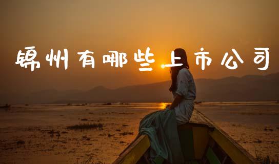 锦州有哪些上市公司_https://m.jnkyh.com_期货开户条件_第1张