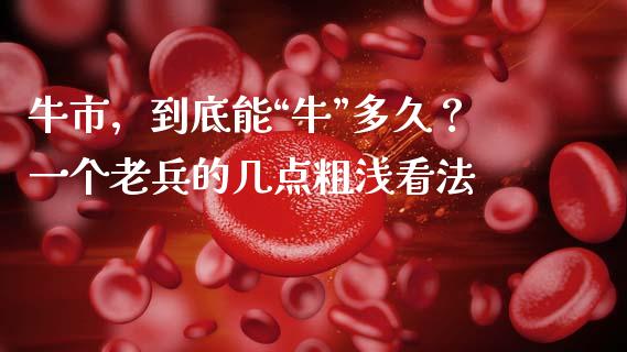 牛市，到底能“牛”多久？一个老兵的几点粗浅看法_https://m.jnkyh.com_股指期货_第1张