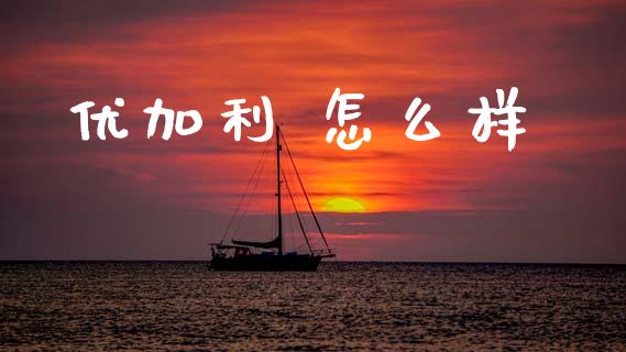 优加利 怎么样_https://m.jnkyh.com_期货开户条件_第1张