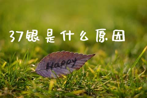 37银是什么原因_https://m.jnkyh.com_股指期货_第1张