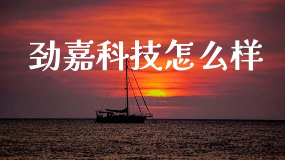 劲嘉科技怎么样_https://m.jnkyh.com_股票交易_第1张