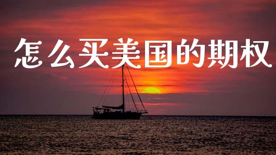 怎么买美国的期权_https://m.jnkyh.com_国际原油_第1张