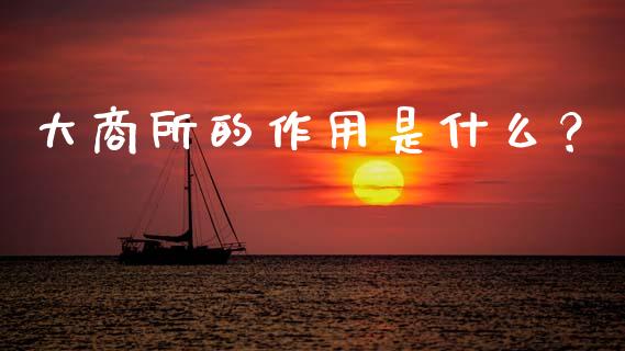 大商所的作用是什么？_https://m.jnkyh.com_期货开户条件_第1张