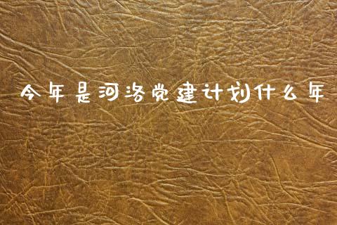 今年是河洛党建计划什么年_https://m.jnkyh.com_股票交易_第1张