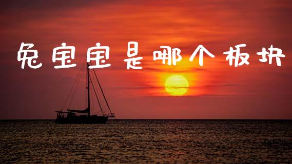 兔宝宝是哪个板块_https://m.jnkyh.com_期货开户条件_第1张