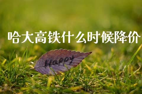 哈大高铁什么时候降价_https://m.jnkyh.com_股票交易_第1张