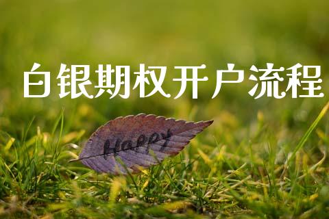 白银期权开户流程_https://m.jnkyh.com_期货开户条件_第1张