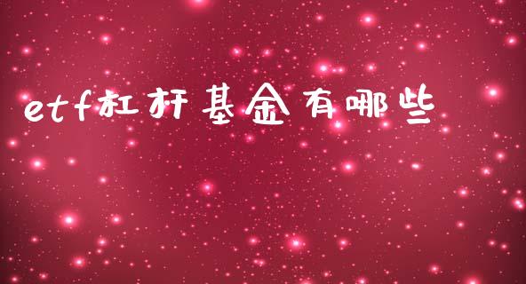 etf杠杆基金有哪些_https://m.jnkyh.com_股指期货_第1张