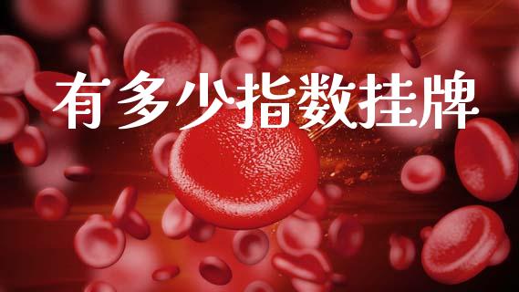 有多少指数挂牌_https://m.jnkyh.com_股指期货_第1张