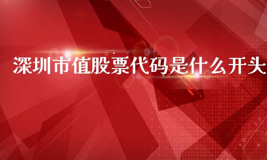 深圳市值股票代码是什么开头_https://m.jnkyh.com_股票交易_第1张