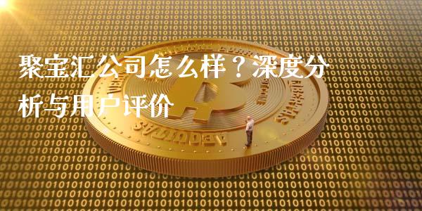 聚宝汇公司怎么样？深度分析与用户评价_https://m.jnkyh.com_期货开户条件_第1张
