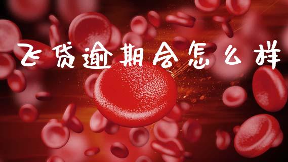 飞贷逾期会怎么样_https://m.jnkyh.com_国际原油_第1张
