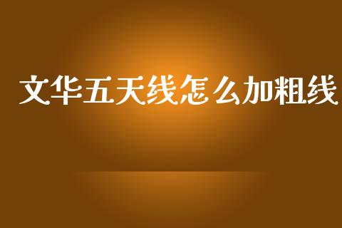 文华五天线怎么加粗线_https://m.jnkyh.com_期货开户条件_第1张