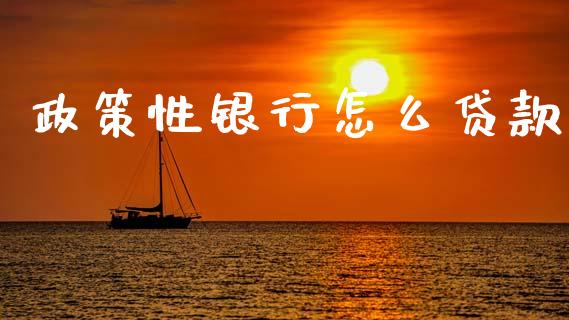 政策性银行怎么贷款_https://m.jnkyh.com_股票交易_第1张