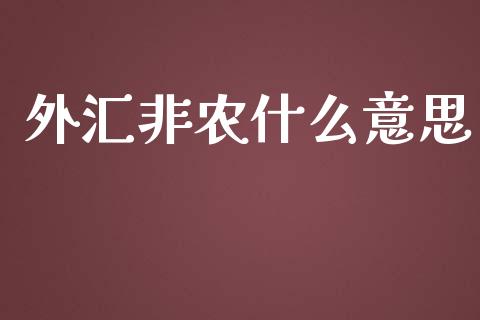 外汇非农什么意思_https://m.jnkyh.com_期货开户条件_第1张