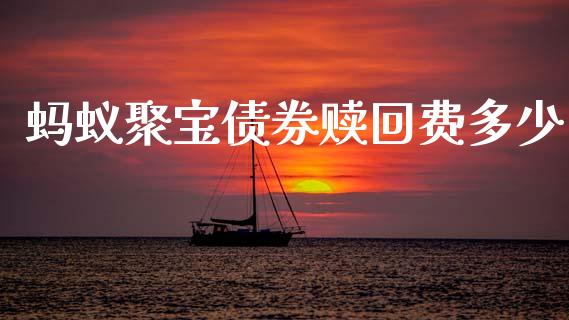 蚂蚁聚宝债券赎回费多少_https://m.jnkyh.com_国际原油_第1张