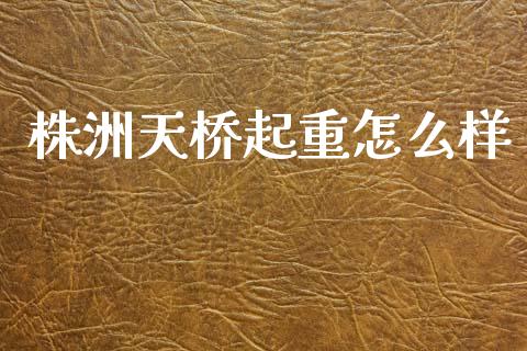 株洲天桥起重怎么样_https://m.jnkyh.com_股指期货_第1张