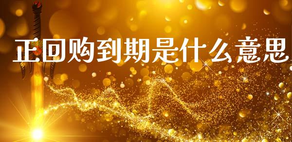正回购到期是什么意思_https://m.jnkyh.com_国际原油_第1张