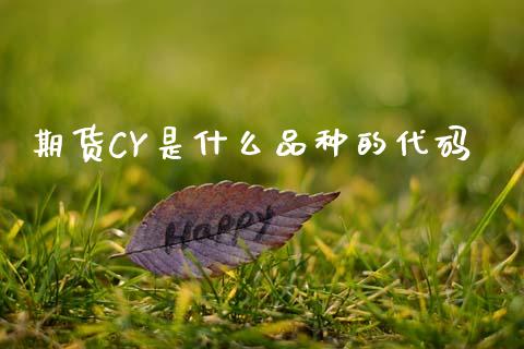 期货CY是什么品种的代码_https://m.jnkyh.com_股票交易_第1张