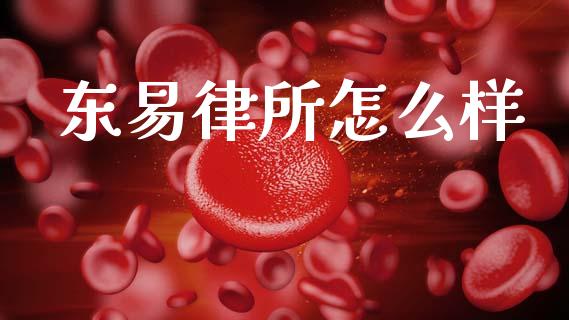 东易律所怎么样_https://m.jnkyh.com_股指期货_第1张