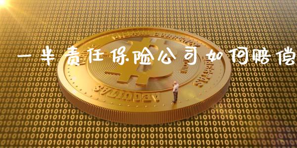 一半责任保险公司如何赔偿_https://m.jnkyh.com_股票交易_第1张