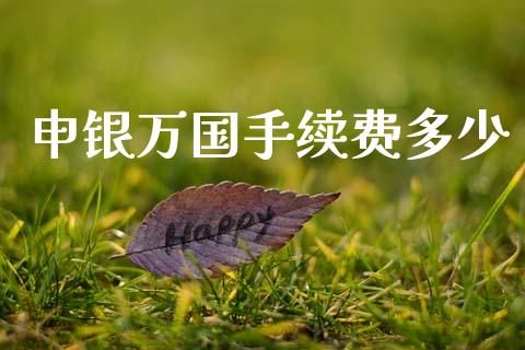 申银万国手续费多少_https://m.jnkyh.com_期货开户条件_第1张
