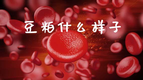 豆粕什么样子_https://m.jnkyh.com_国际原油_第1张