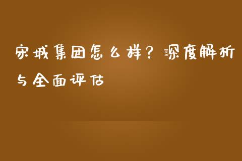 宋城集团怎么样？深度解析与全面评估_https://m.jnkyh.com_期货开户条件_第1张