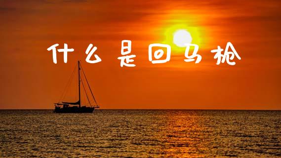 什么是回马枪_https://m.jnkyh.com_股指期货_第1张