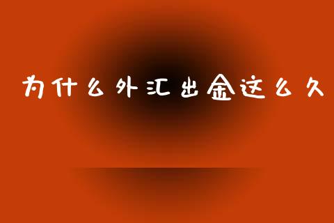为什么外汇出金这么久_https://m.jnkyh.com_股指期货_第1张