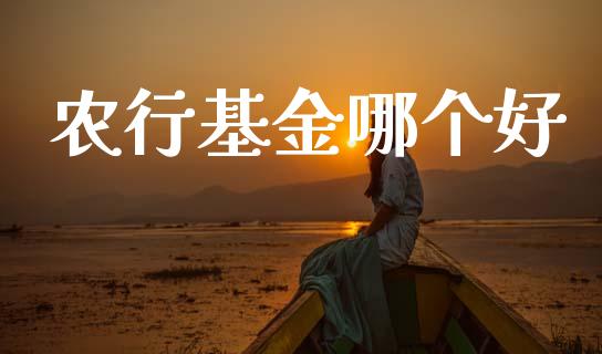农行基金哪个好_https://m.jnkyh.com_国际原油_第1张