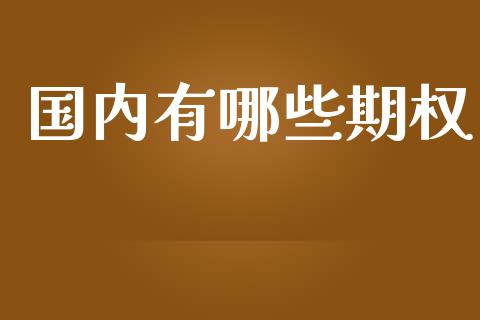 国内有哪些期权_https://m.jnkyh.com_股票交易_第1张